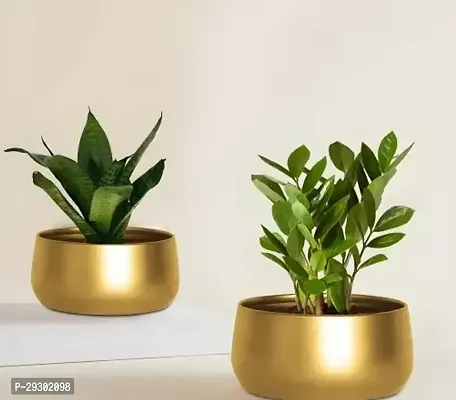 Indoor Planter Flower Pots For Living Room Bedroom Pack of 2