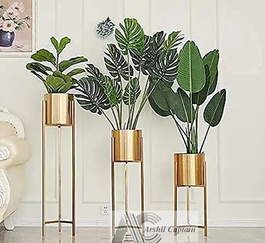 New Arrival Plant & Planters 