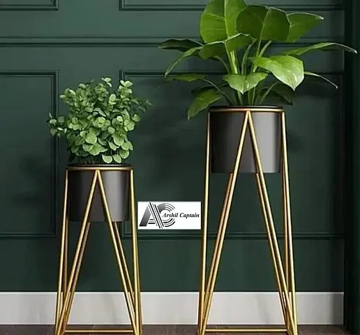 New Arrival Plant & Planters 