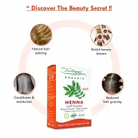 Sista Organic Indigo Powder and Red Henna Leaf Powder Combo for Black Hair Colour (100 + 100 = 200 gm)-thumb2