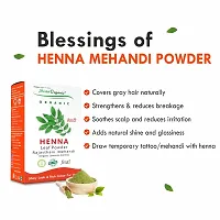 Sista Organic Indigo Powder and Red Henna Leaf Powder Combo for Black Hair Colour (100 + 100 = 200 gm)-thumb4