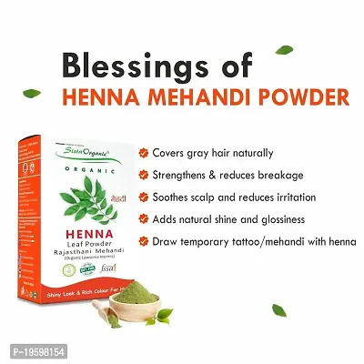 Sista Organic Indigo Powder and Red Henna Leaf Powder Combo for Black Hair Colour (100 + 100 = 200 gm)-thumb5