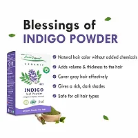 Sista Organic Indigo Powder and Red Henna Leaf Powder Combo for Black Hair Colour (100 + 100 = 200 gm)-thumb3