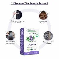 Sista Organic Indigo Powder and Red Henna Leaf Powder Combo for Black Hair Colour (100 + 100 = 200 gm)-thumb1