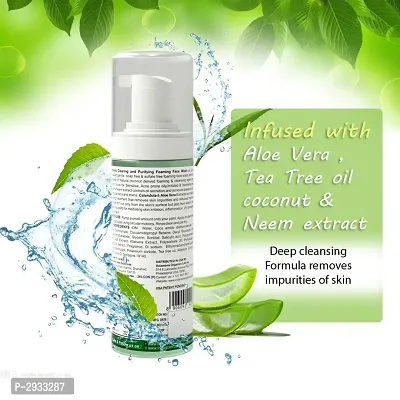 Clearing  Purifying Foaming Face Wash-thumb2