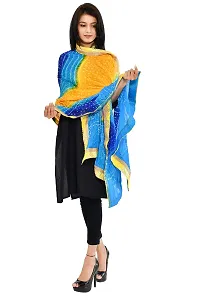 JaipurFabric Women's Magji Border Multi color Art silk jaipuri Rajasthani Bandhni Bandhej Multi-Colored Heavy Dupatta Chunni Traditional Royal-thumb3