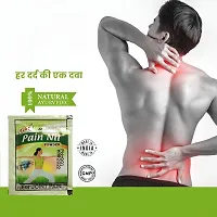 Gopal Herbals Pain Nil Powder 56 pcs-thumb2