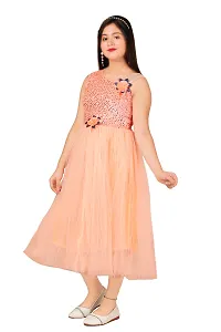 Stylish Fancy Frocks and Net A-Line Dress For Girls-thumb1