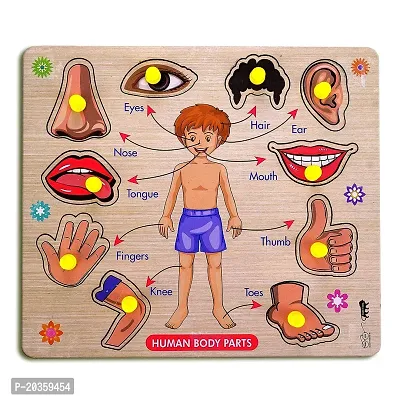 Body Parts Toddler Puzzles for Kids Ages 2-4-8 Montessori Wooden Puzzles for Children 3-5 Years Old Preschool Game for Learning Human Body Parts Anatomy Skeleton - Gift Toys for Boy and Girl