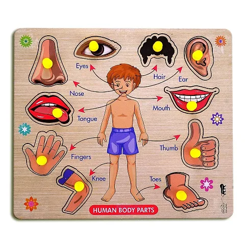 Educational Toys for Kids
