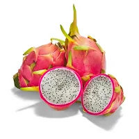 Hybrid Sweet Dragon Fruit Plant Combo Pack Of 3 Original Plant-thumb1