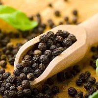 Black Pepper Plant - Gol morich - Kali Mirchi Plant-thumb1