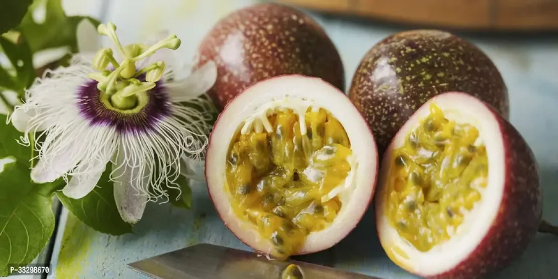 Hybrid Grafted Passion Fruit Plant Home Garden