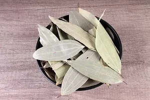 Tej Patta, Tamalpatra, Indian Spice bay Leaf Live Plant-thumb1