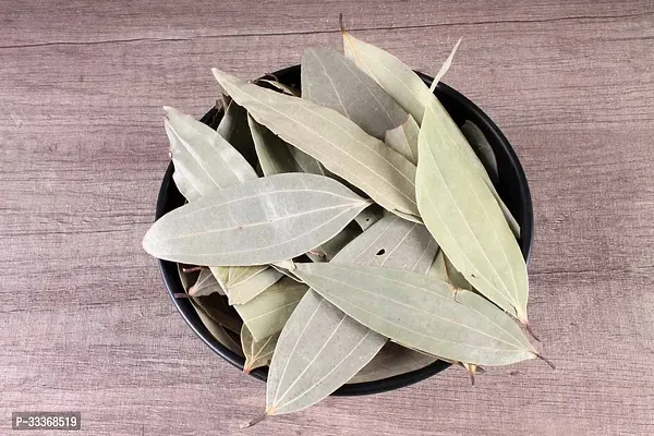 Tej Patta, Tamalpatra, Indian Spice bay Leaf Live Plant-thumb2