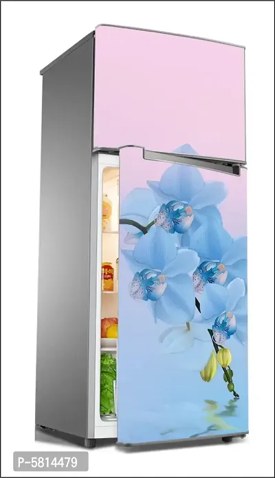 Shree Decor Refrigerator doorposter Wallpaper Poster Decorative Fridge  Sticker (Multicolor, PVC Vinyl Covering Area 60cm X 160cm )_FD271 :  Amazon.in: Home & Kitchen