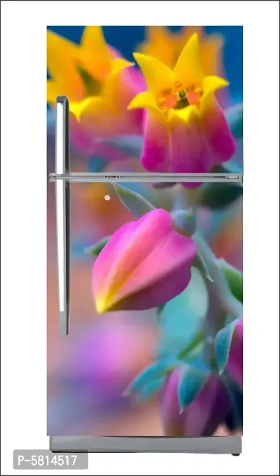 Color flowerLarge Single Door Fridge Wallpaper And Decal Self Adhesive Fridge Wallpaer_Water Droplet Print