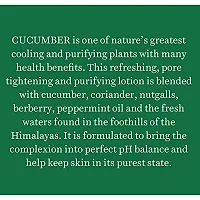 Biotique Bio Cucumber Pore Tightening Toner, 120ml (Pack of 2)-thumb4