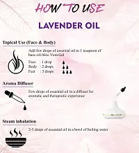 Lavender oil-thumb1