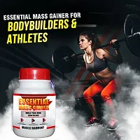 Essential Mass Gainer-thumb2