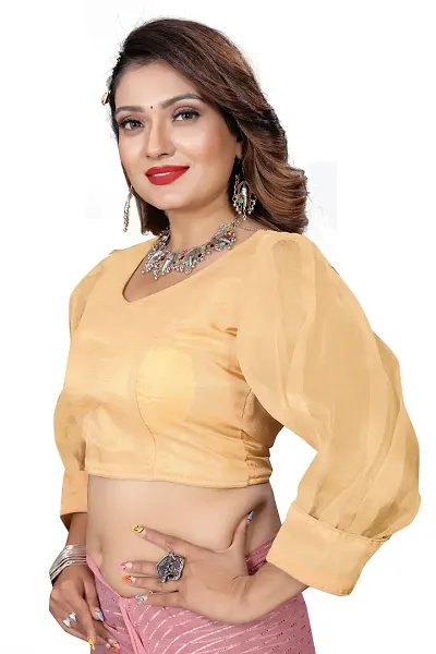 Stylish Women Organza Stitched Ethnic Blouse