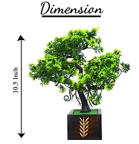 ME & YOU Artificial Bonsai Plant with Wooden Pot | Plant for Decoration | Small Plant with Pot | Bonsai Tree for Indoor/Office/Home D?cor | Artificial Tree in 26cm-Pack 2-thumb4