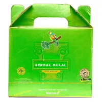 ME  YOU Herbal Gulal Colos |Holi Gulal Powder| Luxury Gulal Pack 2 with Autoi Fill and tie Magic Balloons 5 Buunch| Holi Gulal Combo for Gifts| Soft  Silky Gulal Powder| | Non Toxic Holi Color-thumb3