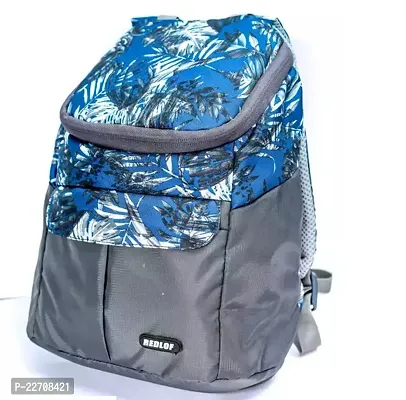 Redlof Hubkids School Bag Blue And Grey Combination-thumb0