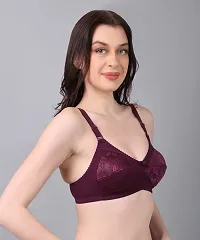 NSALIZA Nyla Net Women's Non Padded T-Shirt Bra Pack of 2 BB77 Wine-Skin 38C-thumb2