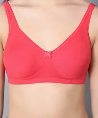 NSALIZA Afreen Mold Women's Padded T-Shirt Bra AM10-thumb3