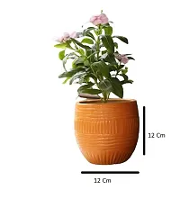 Best Quality Ceramic Pots for Plant (Pack of 3) Ceramic Planter for Indoor Plants, Living Room Ceramic Plant Pot Medium Size for Home, Office and Gifting (Plant Not Included)-thumb1