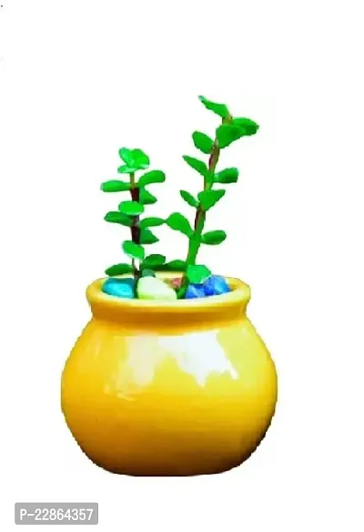 Best Quality Ceramic Planter Pot Small Matka for HomeandGarden-YellowandGreen (Without Plant)-thumb2