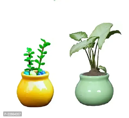 Best Quality Ceramic Planter Pot Small Matka for HomeandGarden-YellowandGreen (Without Plant)-thumb0