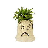 Best Quality Ceramic Pots for Plants Tree Shape - Medium Size (Brown Color, 11 cm) Ceramic Planters for Indoor Plants, Living Room. [Plant Not Included]-thumb1