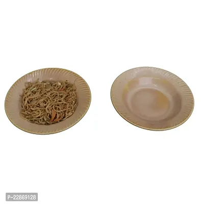 Lyallpur Stores Ceramic Plates Medium Size, Round Shape (Pack Of 2, Beige Color) Soup Plate Snack Plate Nodules Plate Microwave And Dishwasher Safe For Serving Your Family, Friends And Guest-thumb2