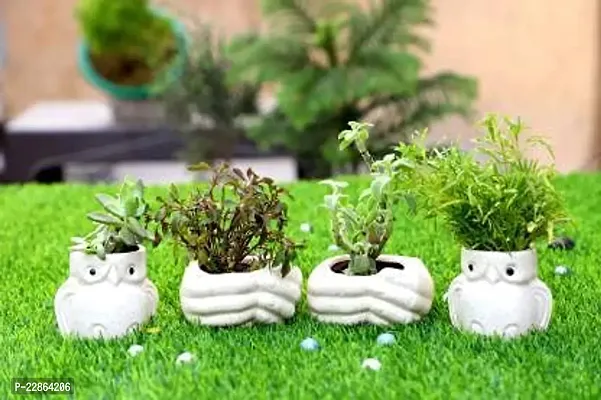 Best Quality Ceramic Pots for Plants Owl and Hand Shape - Small Size (White Color, 8 cm) Ceramic Planters for Indoor Plants, Living Room. [Plant Not Included, Pack of 4]-thumb0