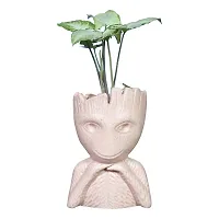 Best Quality Ceramic Planter Pot Groot Shape - Medium (Brown Color, 15 cm) Plant Not Included-thumb1
