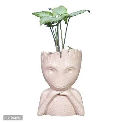 Best Quality Ceramic Planter Pot Groot Shape - Medium (Brown Color, 15 cm) Plant Not Included-thumb2