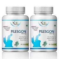 Pilesgon Herbal Capsules For Over Come Hemorrhoid 100% Ayurvedic (120 Capsules)-thumb1