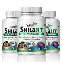 Shilajit Herbal Capsules For Male Fertility 100% Ayurvedic (180 Capsules)-thumb1
