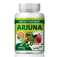 Arjuna Tea Herbal Capsules For Improving Muscle Function 100% Ayurvedic (60 Capsules)-thumb1