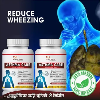 Asthama Care Herbal Capsules For Help In Asthma Problems 100% Ayurvedic (120 Capsules)