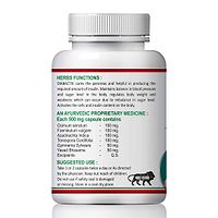 Diabactive Herbal Capsules For Powerful Blend Of Natural Herbs 100% Ayurvedic (60 Capsules)-thumb2