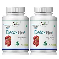 Detox Plus Herbal Capsules For May Cause Fatty Liver Disease 100% Ayurvedic (120 Capsules)-thumb1