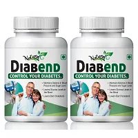 Diabend Herbal Capsules For Enhance Energy Levels In The Body 100% Ayurvedic (120 Capsules)-thumb1