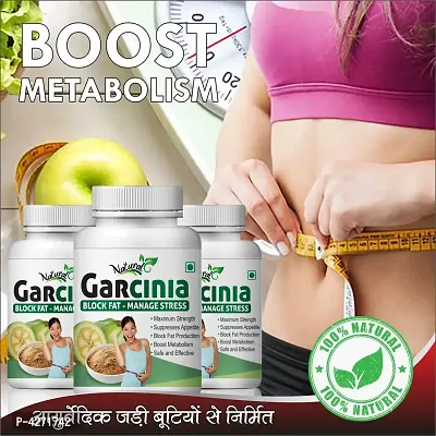 Garcinia Herabl Capsules For Burning Extra Fat 100% Ayurvedic (180 Capsules)