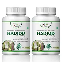 Hadjod Herbal Capsules For Bone Support 100% Ayurvedic (120 Capsules)-thumb1
