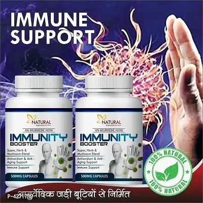 Immunity Booster Herbal Capsules For Helps To Improve Your Immunity 100% Ayurvedic (120 Capsules)