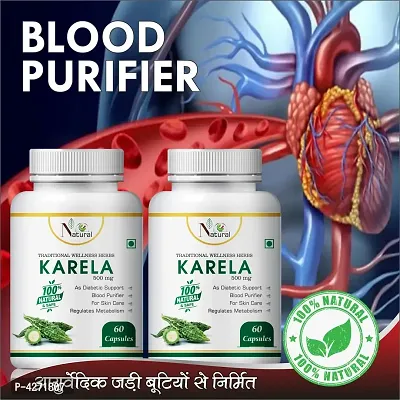 Karela Herbal Capsules For Helps You Get A Glowing Skin 100% Ayurvedic (120 Capsules)-thumb0