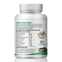 Levenum Herbal Capsules For Less Burden On Diseased Liver 100% Ayurvedic (180 Capsules)-thumb2